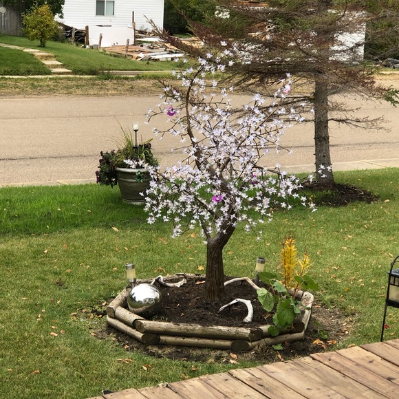 Meet your Posher, Jeanette - Picture 1 of 1